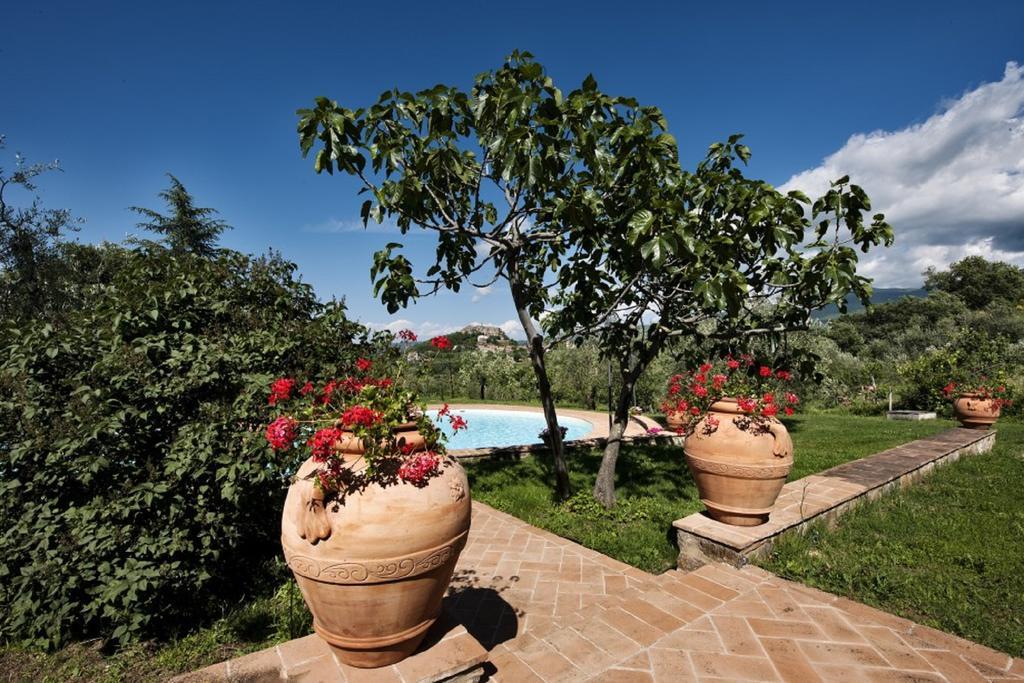 La Dragona Apartment Castel del Piano  Exterior photo